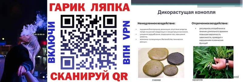 что такое наркотик  Северодвинск  Гашиш индика сатива 