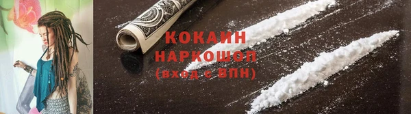 прущая мука Вяземский
