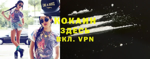 прущая мука Вяземский