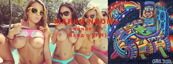 прущая мука Вяземский