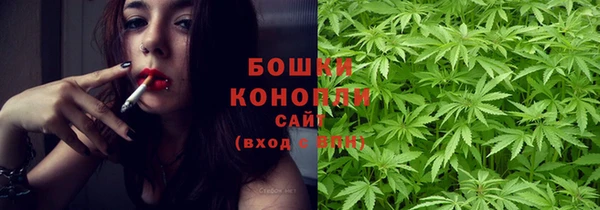 гидропоника Горняк