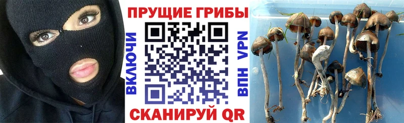Галлюциногенные грибы GOLDEN TEACHER  Северодвинск 